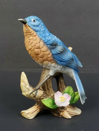 Vintage Lefton China Porcelain Gg1727 Eastern Bluebird Bird 4.  75 " Figurine Euc