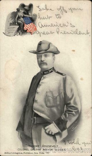 Teddy Roosevelt Theodore Roosevelt,  Colonel Of The Rough Riders Postcard Vintage
