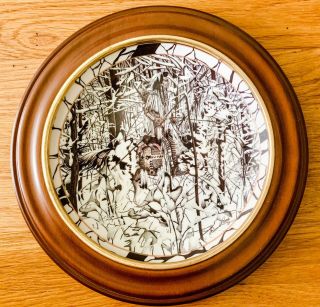 Bradford Exchange Diana Casey Where Paths Cross Silent Journey Indian Plate 8 "