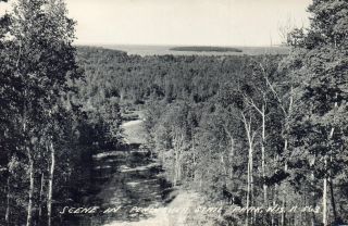 Vintage 1949 Peninsula State Park Wisconsin Scene W/ Lake Island Rppc Post Card