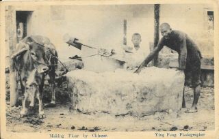 China - Making Flour By Chinese - Rppc - Unposted