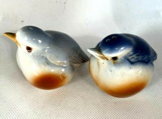 Vintage Ceramic Blue Bird Salt And Pepper Shakers - Bone China (a)