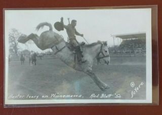 Rppc Rodeo Red Bluff Ca 1950 Buster Ivory