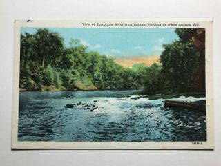 View Of Suwannee River From Bathing Pavilion White Springs Florida Fl Postcard