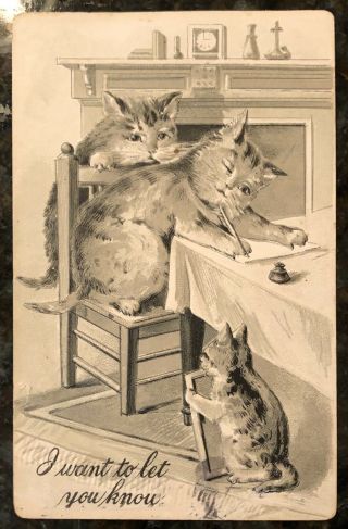 Cat Writing A Letter 1908 Franz Huld Postcard “i Want To Let You Know”,  Dog Cat