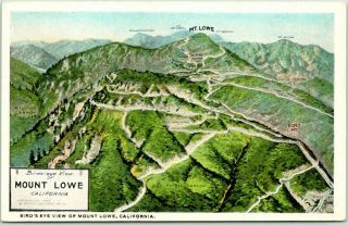 1913 Mount Lowe California Postcard Bird 