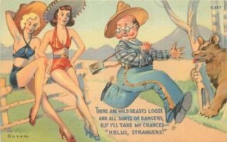 Comic Humor Wild Beast Sexy Pin Up Girls Teich Linen Postcard 20 - 12257