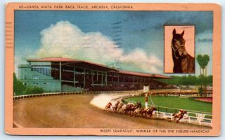 Postcard Ca 1945 Arcadia Santa Anita Park Race Track Horses Seabiscuit I6
