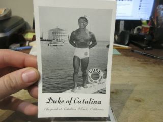 Vintage Old Postcard California Catalina Island Duke Lifeguard Sun Tan Lotion