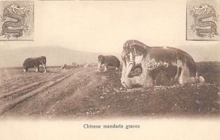 China,  Road At Ming Tombs,  Elephant Statues,  Kingshill Pub 81 C.  1904 - 14