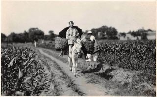 China,  Woman With Bound Feet On Donkey With Baskets,  Real Photo Pc 1930 