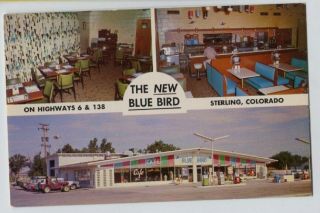 Vintage Blue Bird Sterling Colorado Co Gas Station Restaurant Postcard