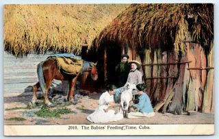 Postcard Cuba Babies Feeding Time Goat Nursing Babies Vtg View H2