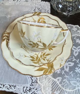 Antique Wileman Shape Bodley Brownfield Raised Gold Cup Saucer Plate Trio Set Hp