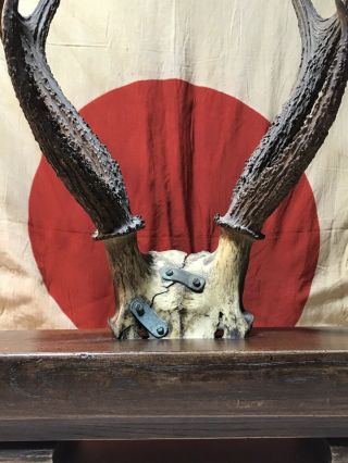 Vintage Samurai Okinawa Sika Deerhorn Katana Sword Stand