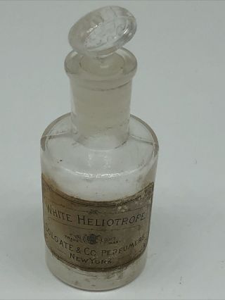 Rare 1900s White Heliotrope Perfume Bottle 3 " Colgate & Co York