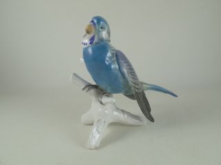 Blue Parakeet By Karl Ens Volkstedt Porcelain Figurine Budgie Budgerigar Parrot