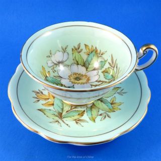 Handpainted Wild Rose On Pale Green Foley Tea Cup And Saucer Set