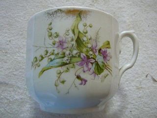Rare Large Antique Mustache Cup,  C.  T.  Altwasser Germany,  Floral,  Item