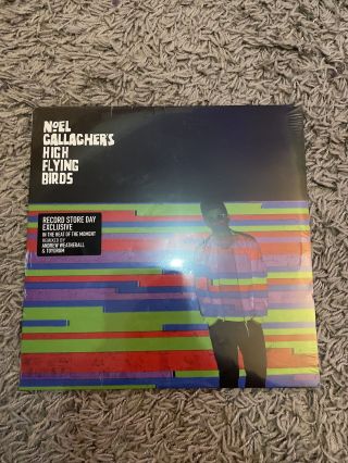 Noel Gallaghers High Flying Birds,  In The Heat. ,  New/mint 12 " Vinyl Single Rsd