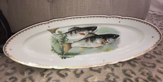 Vintage Hand Painted Limoges France Fish Trout Design Plate 24 " Platter Antique