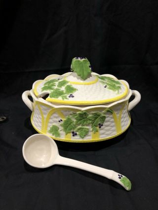 Vintage Porcelain Ivory Hand Painted Soup Tureen With Ladle 12”x8” Marked Fg