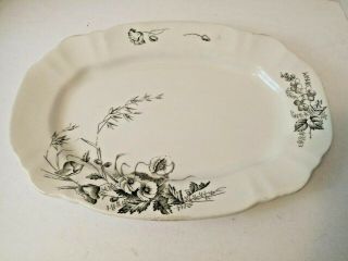 John Edwards England Porcelaine De Terra Serving Platter Dish Harvest Pattern