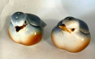 Vintage Ceramic Blue Bird Salt And Pepper Shakers - Bone China (b)