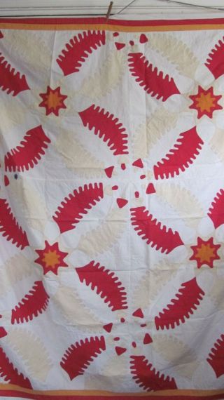 Antique Princess Feather Quilt Top Turkey Red W/ghost Green & Cheddar 78 X 64