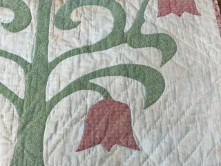 Early PA c 1850s ALBUM Applique Crib QUILT Turkey Red Green 2