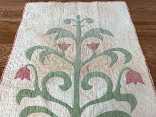 Early PA c 1850s ALBUM Applique Crib QUILT Turkey Red Green 3