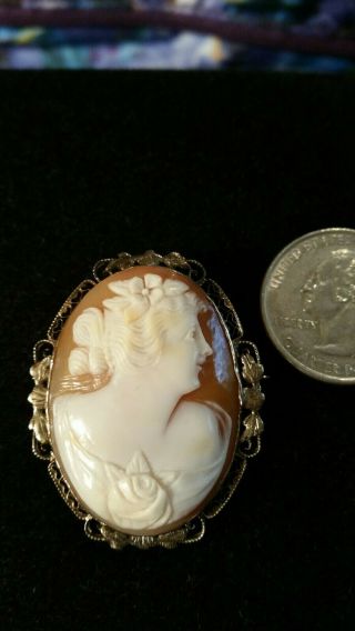 Antique 14k White Gold Cameo Pin/pendant