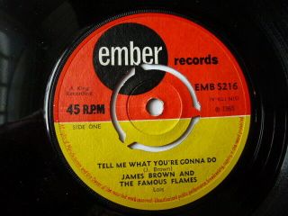 James Brown & The Famous Flames - Tell Me What You 