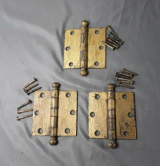 (3) Antique Vintage Steel Door Hinges Ball Top Pin & Screws 3 - 1/2 " X 3 - 1/2 "