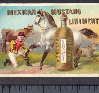 Mexican Mustang Liniment Horse Veterinary Farm Medicine Ad Victorian Trade Card