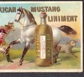 Mexican Mustang Liniment Horse Veterinary Farm Medicine Ad Victorian Trade Card 2