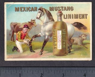 Mexican Mustang Liniment Horse Veterinary Farm Medicine Ad Victorian Trade Card 3