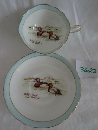 Paragon Cup & Saucer Set British Birds Vintage Double Warrent Hand Painted Duck