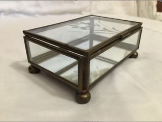 Footed Antique Vintage Glass Brass Trinket Display Box With Etched Flower (a20)