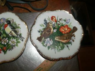 2 Vintage Decorative Wall Plates Birds And Flowers Porcelain Japan 1950’s