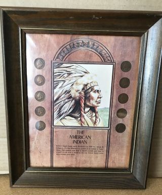 Vintage Collector Framed 10 Indian Head Pennies Titled The American Indian