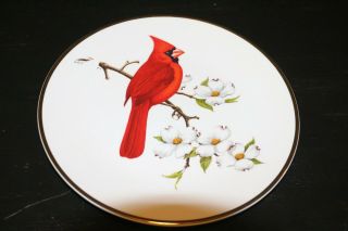Avon Cardinal North American Songbird 1974 Vintage Decorative Plate 10.  25 " D