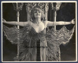 Vintage 1920s Ziegfeld Follies Sequined Butterfly Art Deco Costume Photo - Bb