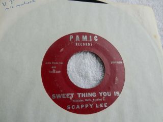 Rare Northern Soul Scappy Lee On Pamic.  Label 45 Rpm 7 " Record