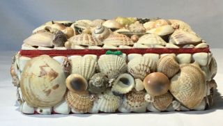 Vintage Large Jewelry Trinket Hand Made Sea Shell Box 6.  5 " X 5 " X 2.  5 "