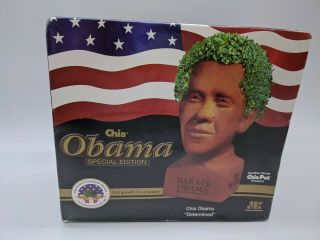 Chia Pet Obama - Special Edition - Determined - Factory -