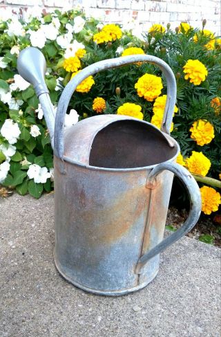 Vintage Galvanized Metal Sprinkler/watering Can For Plants