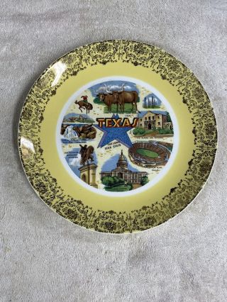 Texas 9.  25” Vintage Collectable Souvenir State Collector Plate