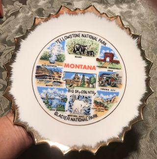 Vintage Iaac Japan Montana State Souvenir Plate 8 1/2” Has Hanger