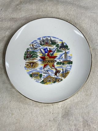Texas 10 1/8” Vintage Collectable Souvenir State Collector Plate